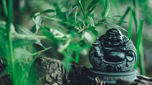 Matcha-Tee Geschichte